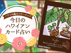 2018年9月5日のハワイアンカード占い