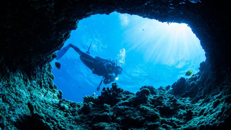 ハワイ女子ひとり旅でスキューバダイビングのライセンスを取ろう ハワイの最新情報をお届け Lanilani