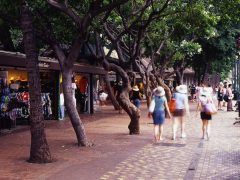 ハワイで買う方がイイ！？日本で人気あのブランドの注目アイテム