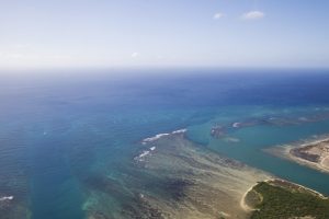 ハワイ好きなら応援を！今こそハワイ島へ行こう♪