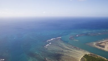 ハワイ好きなら応援を！今こそハワイ島へ行こう♪