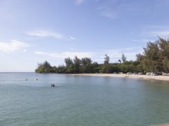 映画『ファミリーツリー』のロケ地を巡る