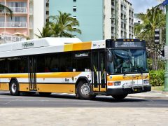 TheBus乗りこなし術!知っておくと便利な路線を5つ紹介♪