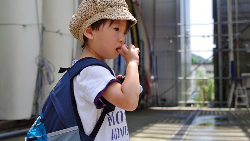 やっぱり日本食が恋しい！ハワイでも行ける日系スーパー♪