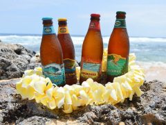 2018年12月1日、成田-ハワイ間のJAL線でコナビール提供開始！移動中からハワイを満喫♪