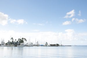 【サーフィンも要チェック！】ハワイの海や河川で気をつけるべきこと5つ