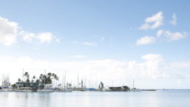 【サーフィンも要チェック！】ハワイの海や河川で気をつけるべきこと5つ