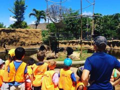 キッズに英語を体験させよう！ホノルル動物園のトワイライトツアー