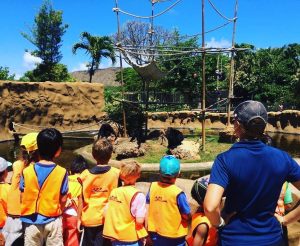 キッズに英語を体験させよう！ホノルル動物園のトワイライトツアー