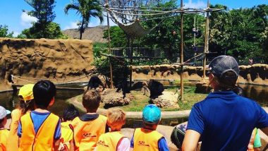 キッズに英語を体験させよう！ホノルル動物園のトワイライトツアー