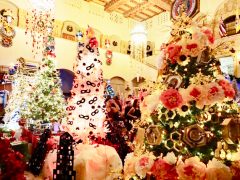 ホノルル市庁舎のクリスマスツリーが今年もライトアップ！