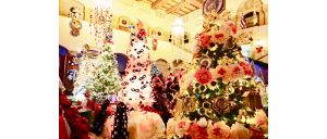 ホノルル市庁舎のクリスマスツリーが今年もライトアップ！