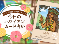 2018年12月14日のハワイアンカード占い
