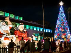 「ホノルル・シティ・ライツ／Honolulu City Of Lights」でハワイのクリスマスを満喫♪