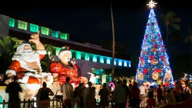「ホノルル・シティ・ライツ／Honolulu City Of Lights」でハワイのクリスマスを満喫♪