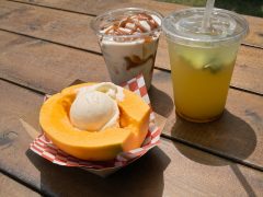 パパイヤ好きなら押さえておきたい、ハワイで味わえるメニュー3選