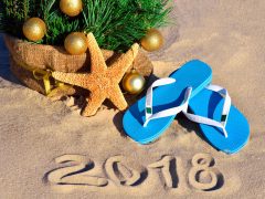 この時期だけ限定♪クリスマスカラーのパッケージのお土産はこれがオススメ！