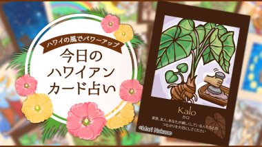 ハワイアンカード占い×LaniLaniコラボ座談会♪【カード紹介編】