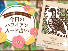 2019年3月4日のハワイアンカード占い