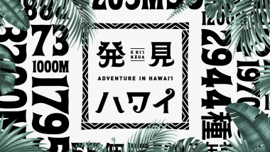 2019年ハワイ州観光局の新プロモーション「発見ハワイ」がスタート！