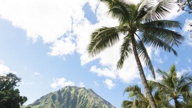 フォトジェニック！ 癒やしと絶景が楽しめるオアフの植物園