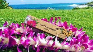 スイーツ好き必見♪ハワイ産のこだわり生キャラメル「スイート・ブラウン・ハワイ／Sweet Brown Hawaii」