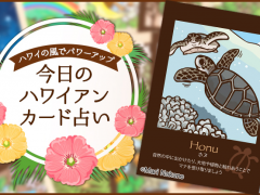 2019年3月11日のハワイアンカード占い