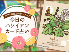2019年3月15日のハワイアンカード占い