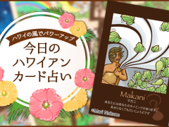 2019年3月21日のハワイアンカード占い