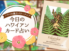 2019年4月5日のハワイアンカード占い