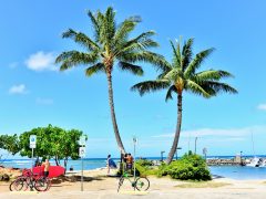 ハワイを自転車で旅しよう♪1日遊んだ体験記