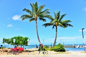 ハワイを自転車で旅しよう♪1日遊んだ体験記