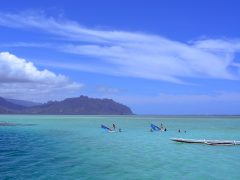 「キャプテンブルース天国の海ツアー」を120％楽しむための準備とは？