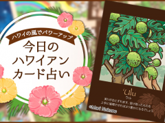 2019年5月1日のハワイアンカード占い