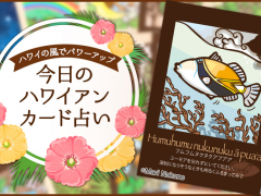 2019年5月21日のハワイアンカード占い