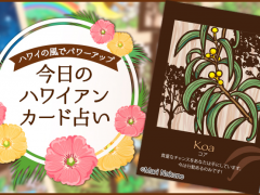 2019年6月4日のハワイアンカード占い