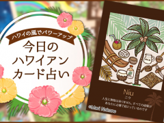 2019年5月18日のハワイアンカード占い