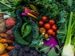 地産地消に参加しよう！注目の「ファームラバーズ・マーケット」4選