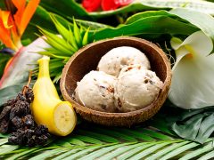 2019年7月5日「ココナッツグレン」がついに表参道にオープン！