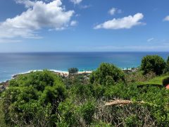 インスタ映えするノースショアのヘルシーカフェ、Farm to Barn Café