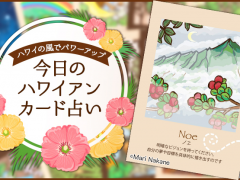 2019年9月24日のハワイアンカード占い