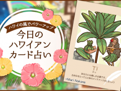 2019年10月1日のハワイアンカード占い