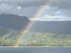 ハワイで楽しむ空の虹と旗の虹！ホノルル・プライド・パレードは今年も大盛況