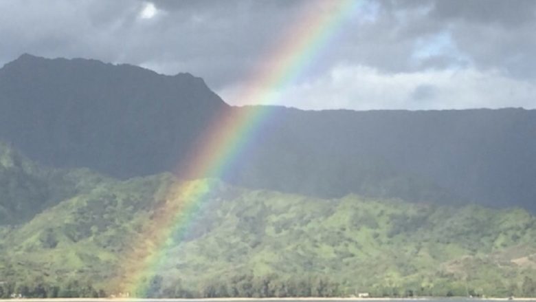 ハワイで楽しむ空の虹と旗の虹！ホノルル・プライド・パレードは今年も大盛況