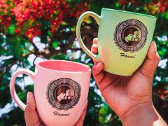 ハワイの人気カフェ「アイランドヴィンテージコーヒー」のおすすめメニューと裏技を大公開！
