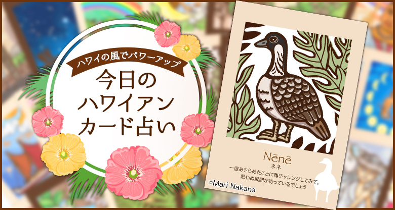 Nene(ネネ)