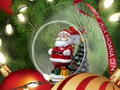 ハワイもホリデーシーズン到来！虹やクリスマスツリーが必見！