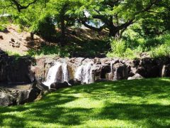 リリウオカラニ植物園に行ってみた！ハワイ固有の植物が集まる穴場！