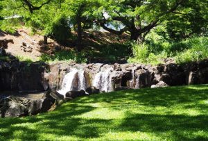 リリウオカラニ植物園に行ってみた！ハワイ固有の植物が集まる穴場！