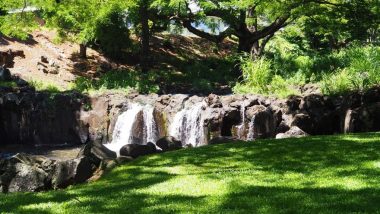 リリウオカラニ植物園に行ってみた！ハワイ固有の植物が集まる穴場！